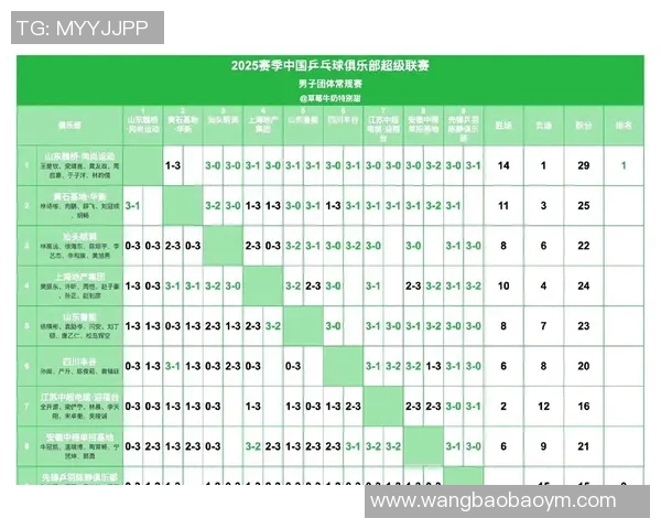 深圳乒乓球队以96分稳居大师赛积分榜首位展现强大实力