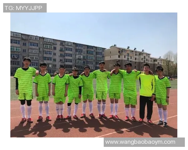 南京足球队的拼搏之路与荣耀时刻全景回顾